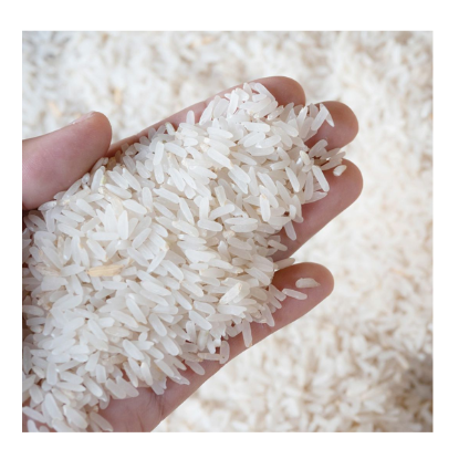 Calrose American Rice